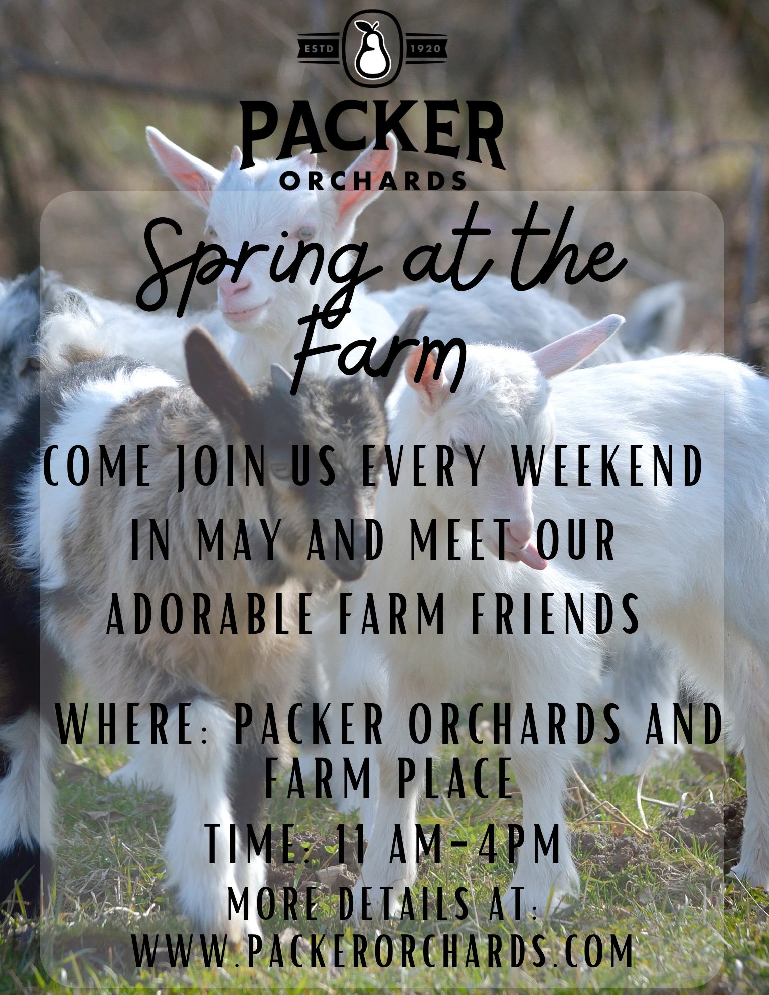 Packer Orchards Farm, Bakery, Jam, Gift Box, Pumpkin Patch